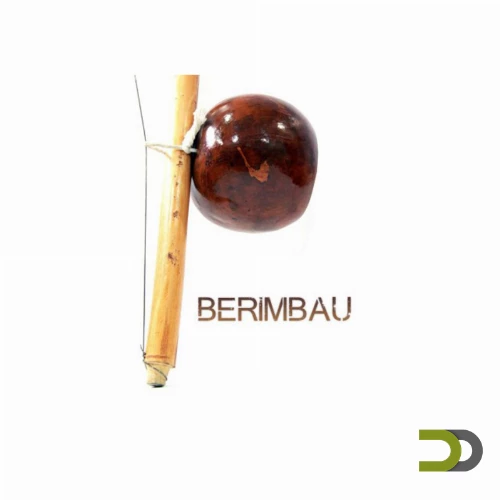 قیمت خرید فروش نرم افزار 8Dio Berimbau Percussion 